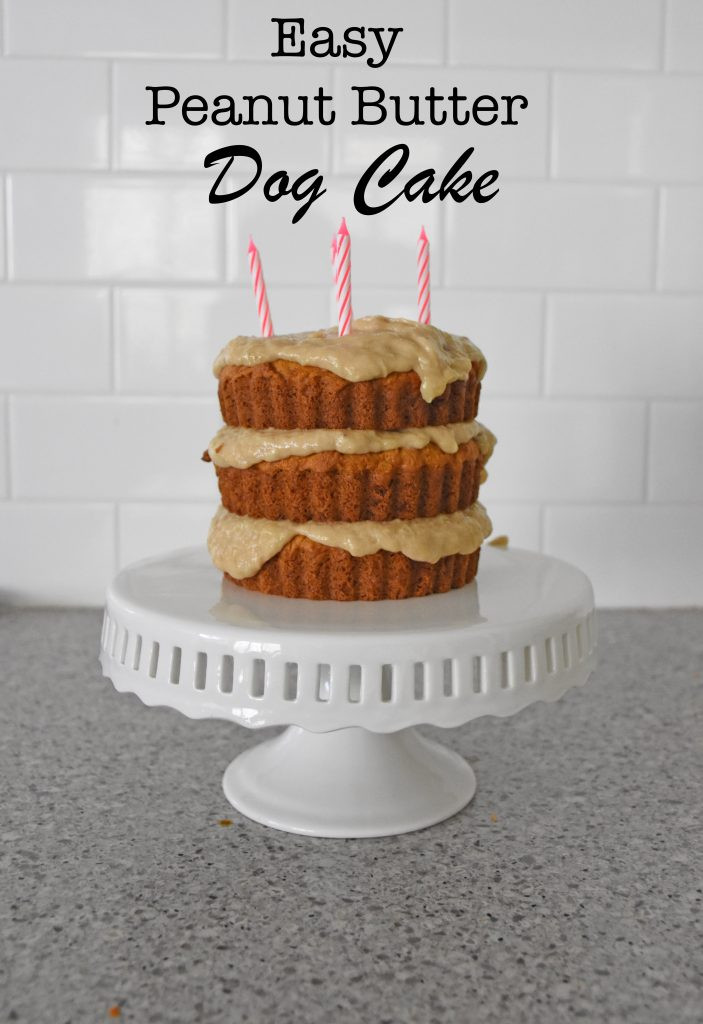Dog Birthday Cake Recipe Without Peanut Butter
 Easy Peanut Butter Dog Cake The Cheerio Diaries