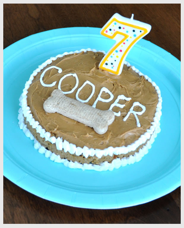 Dog Birthday Cake Recipe Without Peanut Butter
 Happy Birthday Cooper Dog Vicky Barone