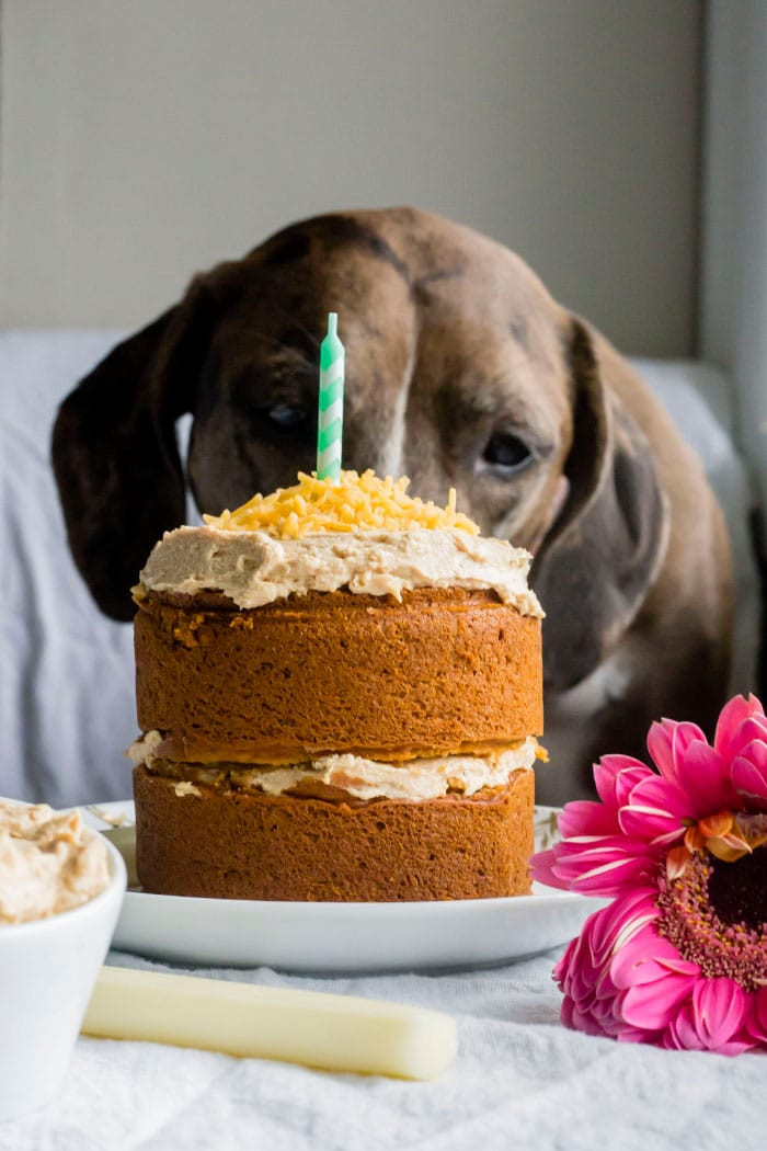 Dog Birthday Cake Recipe Without Peanut Butter
 Mini Dog Birthday Cake