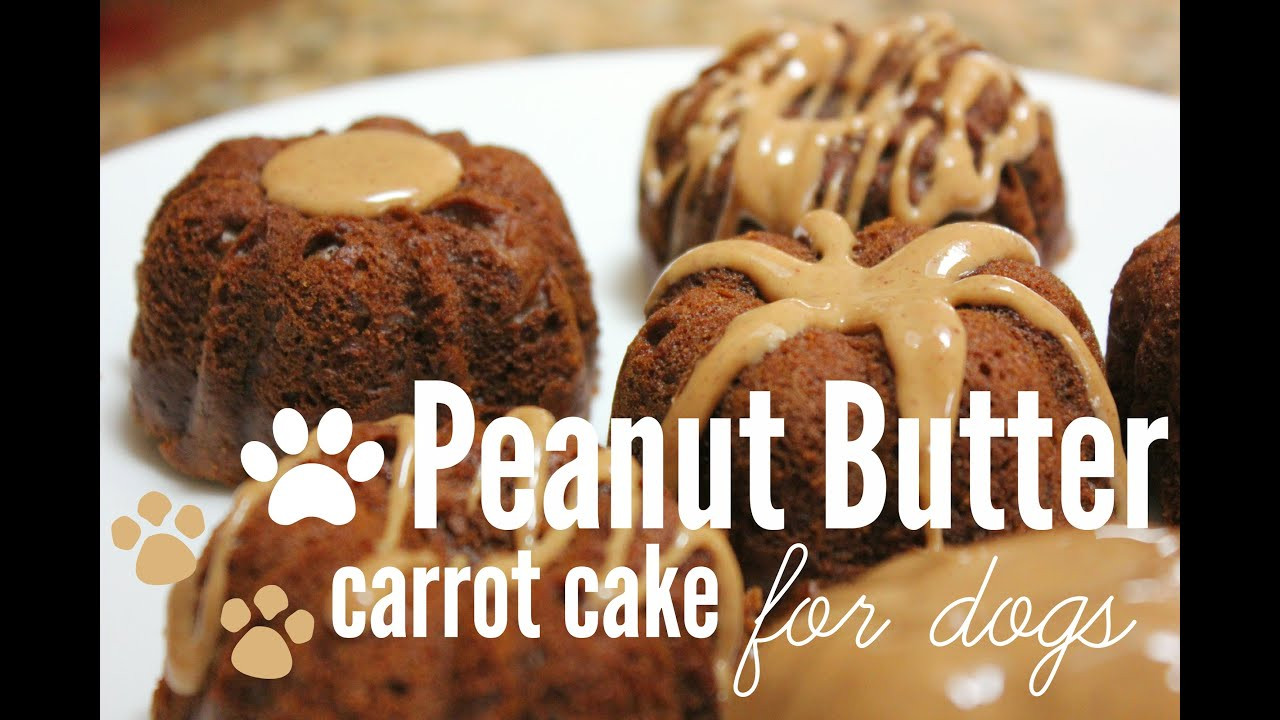 Dog Birthday Cake Recipe Without Peanut Butter
 How to Make Peanut Butter Carrot Cake for dogs