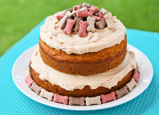 Dog Birthday Cake Recipe Without Peanut Butter
 Puppy Party Spectacular
