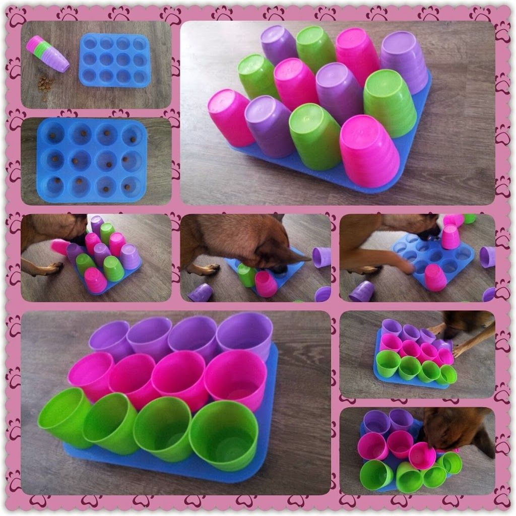 Dog Brain Games DIY
 Brain Game Find the treat in the muffin tray with cups