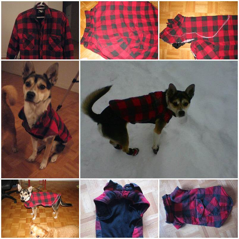 Dog Clothes DIY
 DIY Dog Hoo Coat