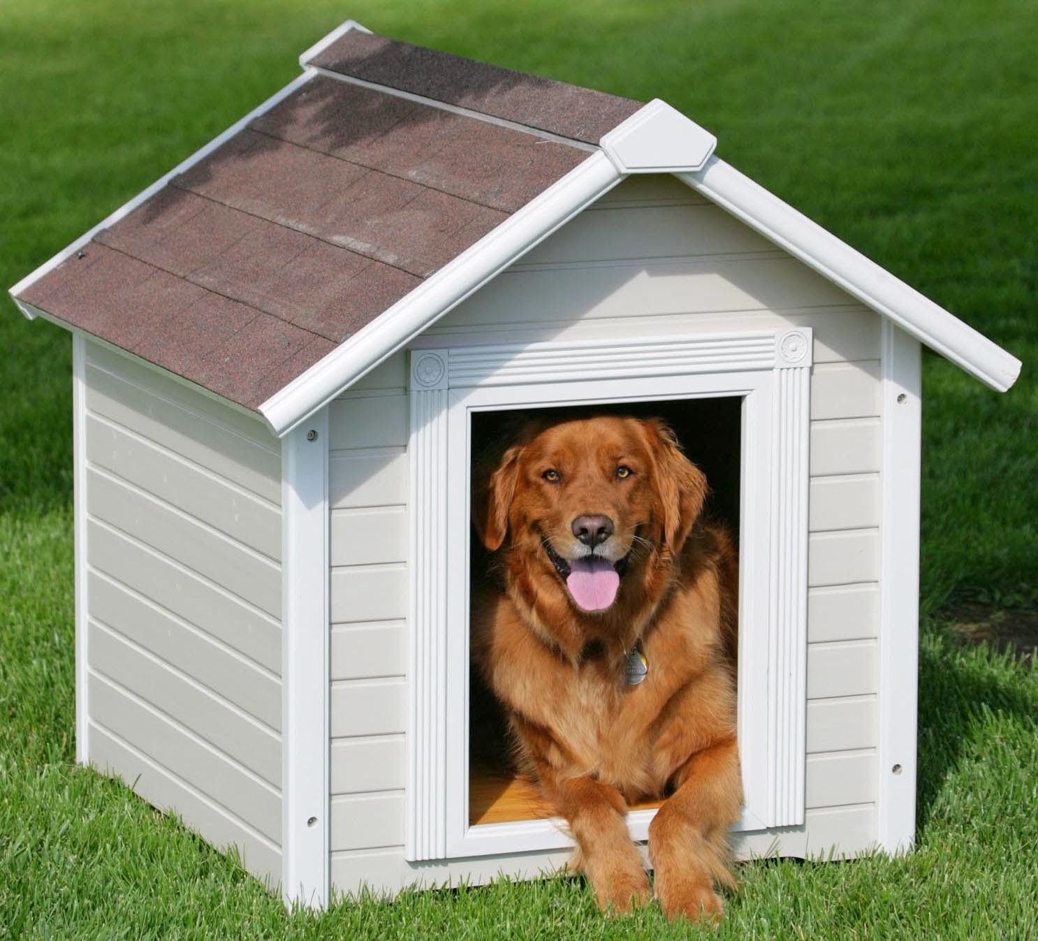 Dog House Ideas For Winter
 Dog House Designs Explore Amazing World