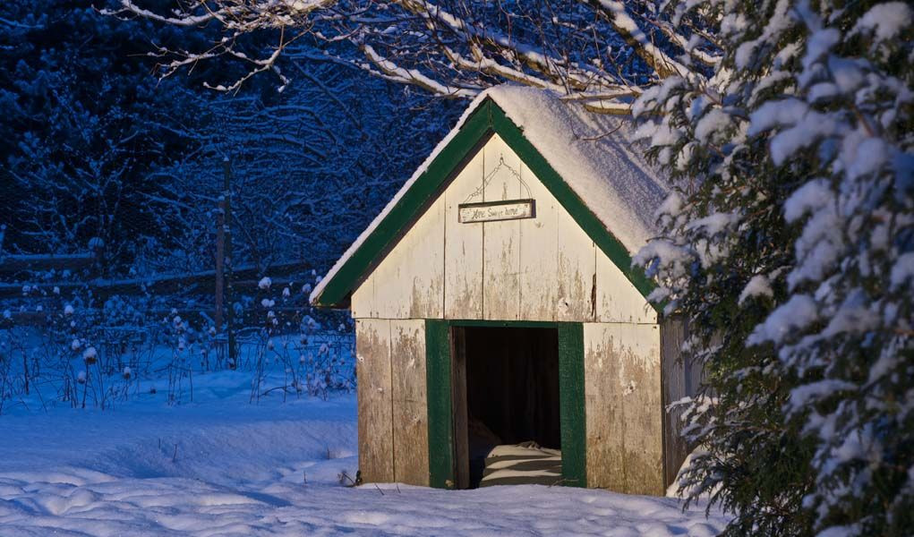 Dog House Ideas For Winter
 DIY Cold Weather Dog House Keep Your Dog Warm in Winter