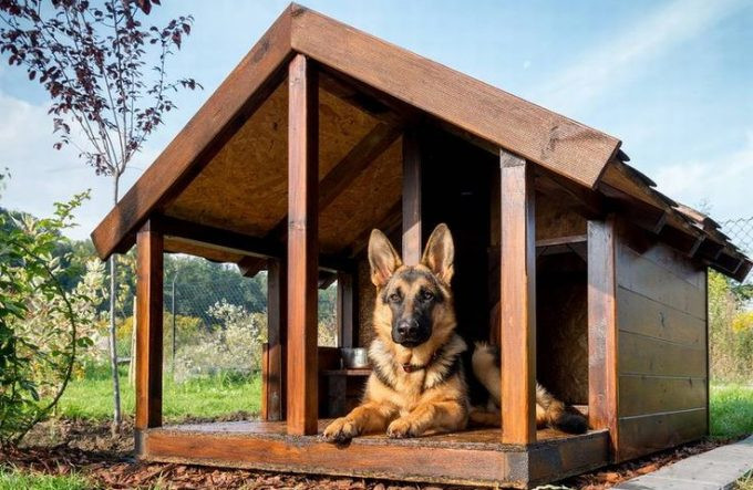 Dog House Ideas For Winter
 Best Dog House for Winter Top Product Picks and Buying Guide