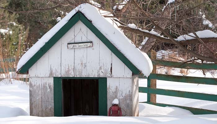 Dog House Ideas For Winter
 DIY Cold Weather Dog House Keep Your Dog Warm in Winter