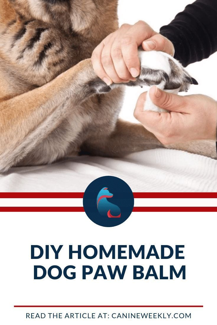 Dog Paw Moisturizer DIY
 DIY Homemade Dog Paw Balm Recipe