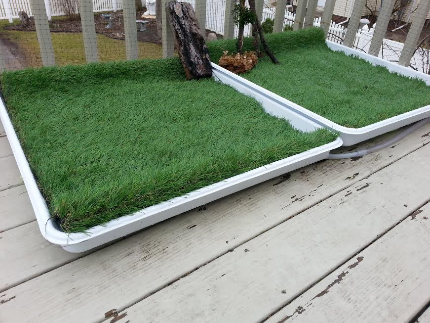 Dog Potty Grass DIY
 [Discussion] I made a dog porch potty for $87 and my dogs