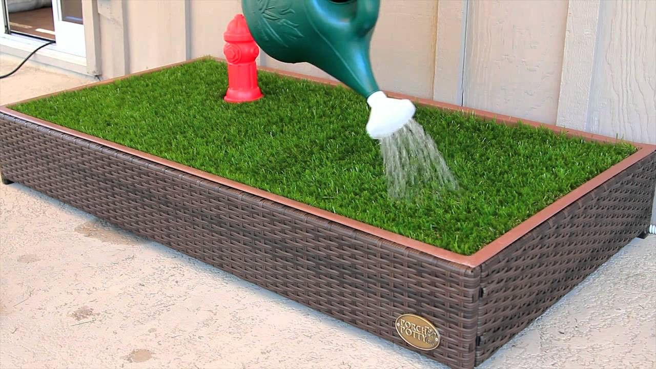 Dog Potty Grass DIY
 Porch Potty is Amazing First Automated Dog Litter Box