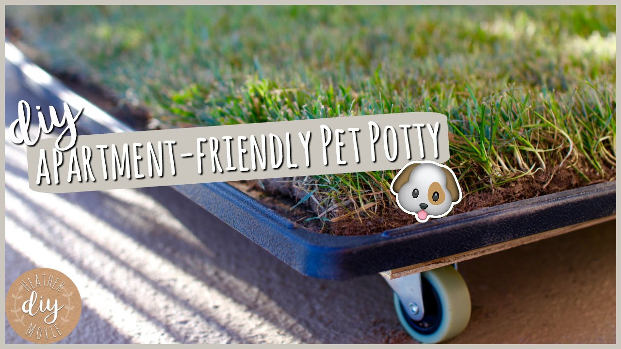 Dog Potty Grass DIY
 DIY Apartment Pet Potty
