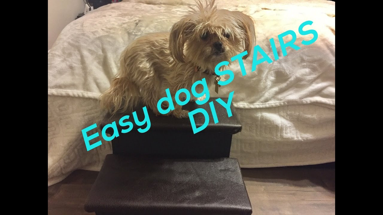 Dog Stairs DIY
 Easy DOG STAIRS DIY video