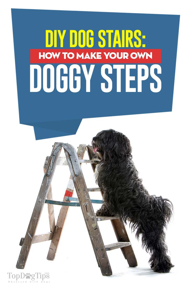 Dog Stairs DIY
 DIY Dog Stairs How to Build Dog Steps for Bed Car and More