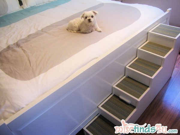 Dog Stairs DIY
 DIY Pet Stairs Dog Steps plete with Paint and Carpet