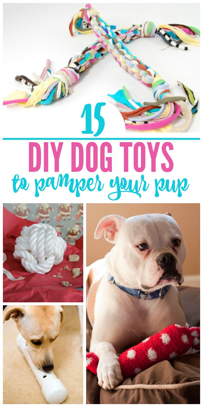 Dog Toys DIY
 15 Pawesome DIY Dog Toys for Your Pup