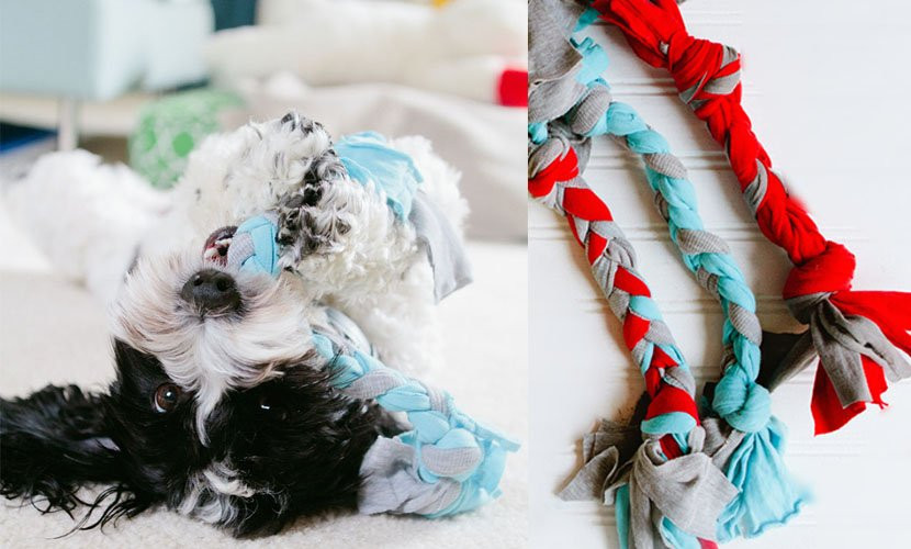 Dog Toys DIY
 Easy DIY Dog Toy The Braid