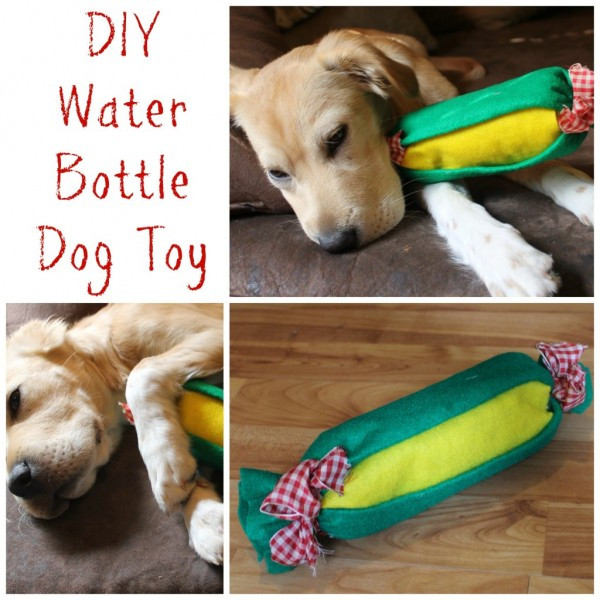 Dog Toys DIY
 5 Great DIY Dog Toys