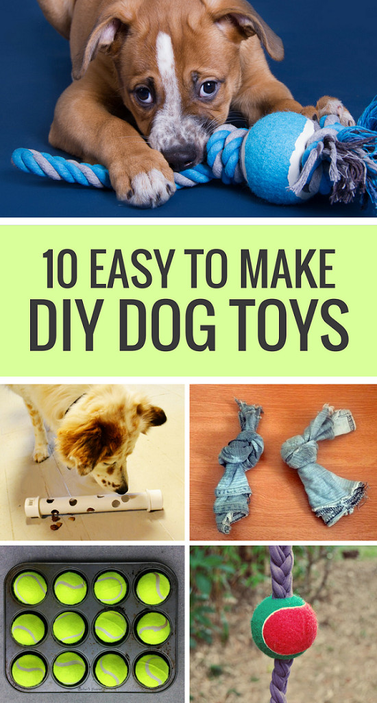 Dog Toys DIY
 10 Easy to Make DIY Dog Toys Puppy Leaks