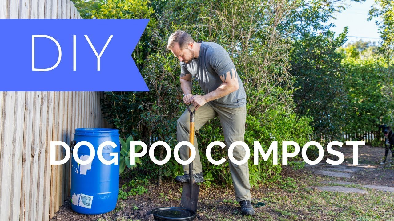 Dog Waste Composter DIY
 DIY Dog Poo post