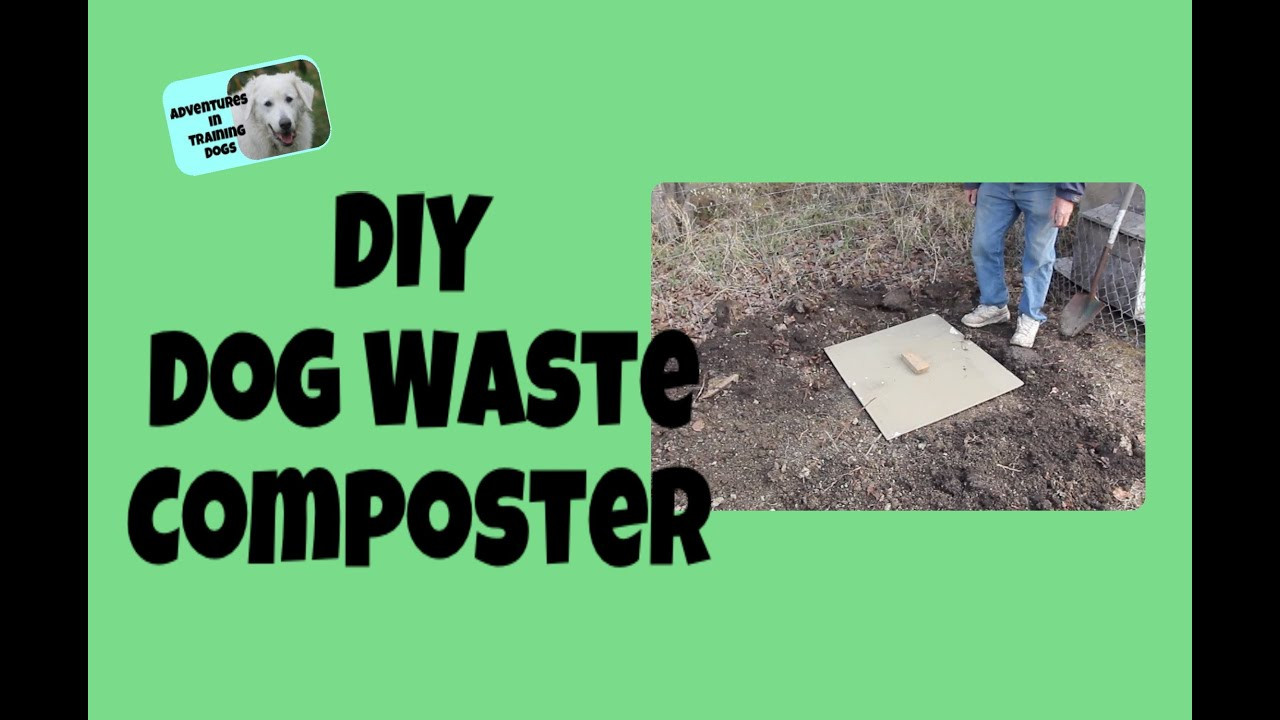 Dog Waste Composter DIY
 DIY Dog Waste poster