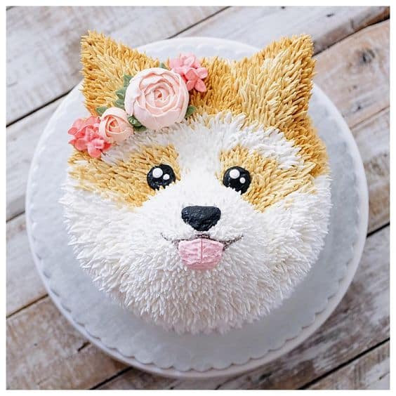 Dog With Birthday Cake
 Dog Cake Ideas For Birthdays Pinterest Best Video Tutorial