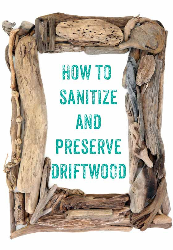 Driftwood Craft Ideas
 Driftwood cleaning and sanitizing method