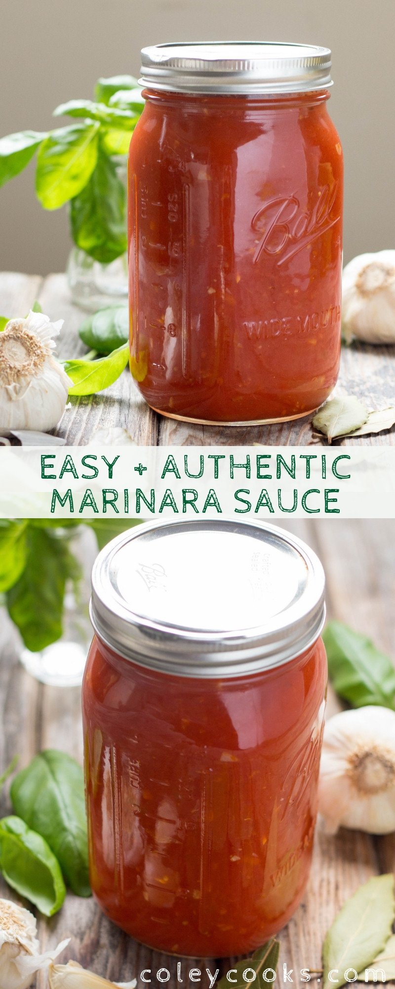 Easy Authentic Italian Recipes
 Easy Authentic Marinara Sauce