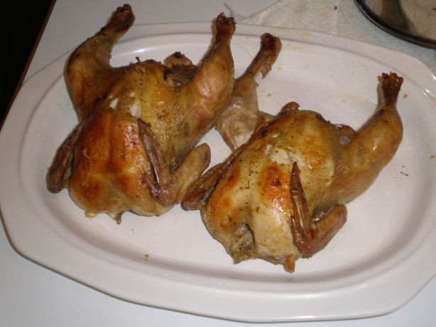 Easy Cornish Game Hens Recipe
 Herb Roasted Cornish Game Hens Recipe Food