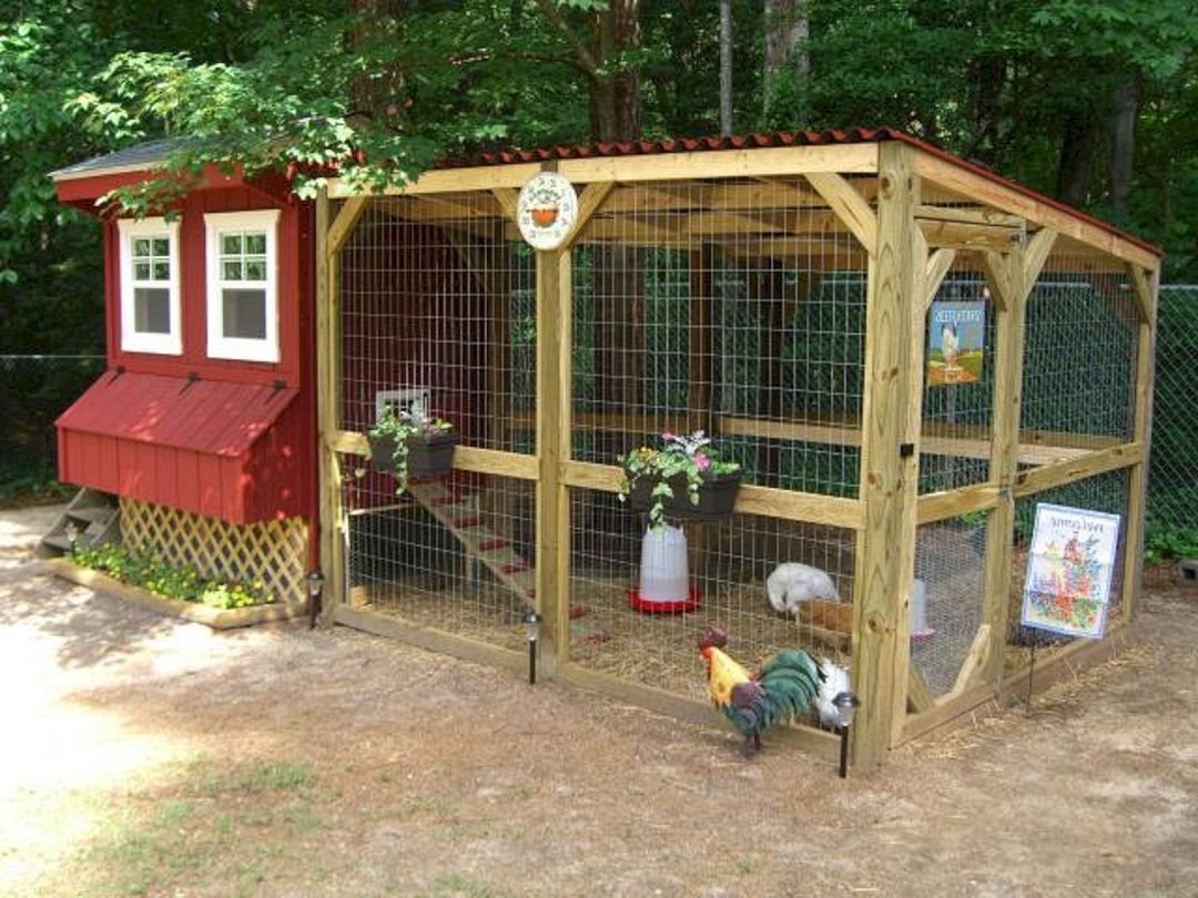 Easy DIY Chicken Coop Plans
 The Best Creative and Easy DIY Chicken Coops You Need In