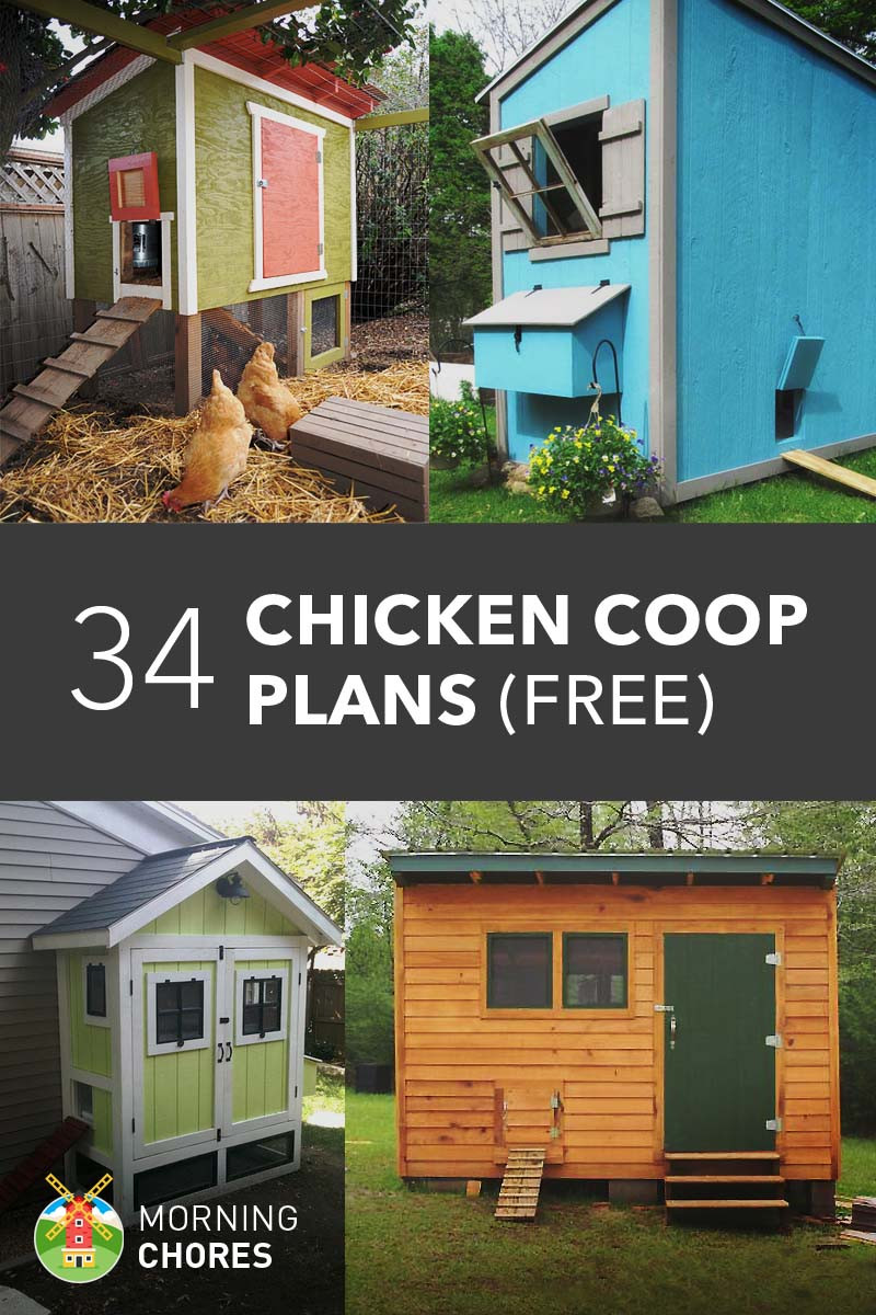 Easy DIY Chicken Coop Plans
 34 DIY Chicken Coop Plans that are Easy to Build Free