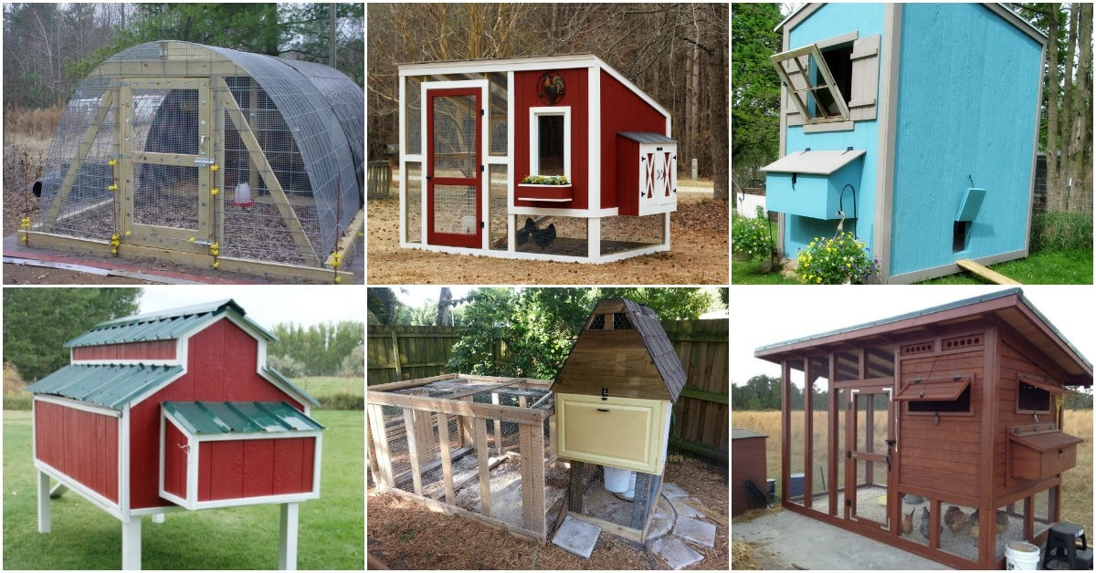 Easy DIY Chicken Coop Plans
 20 Free DIY Chicken Coop Plans You Can Build This Weekend