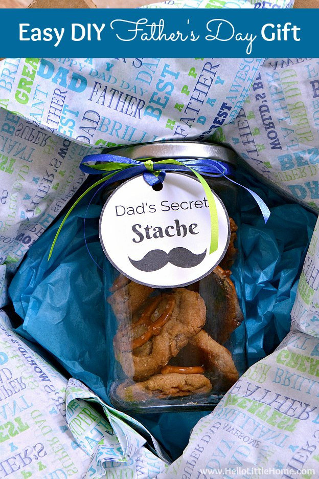 Easy DIY Father'S Day Gifts
 Easy DIY Father s Day Gift Idea Dad s Secret Stache