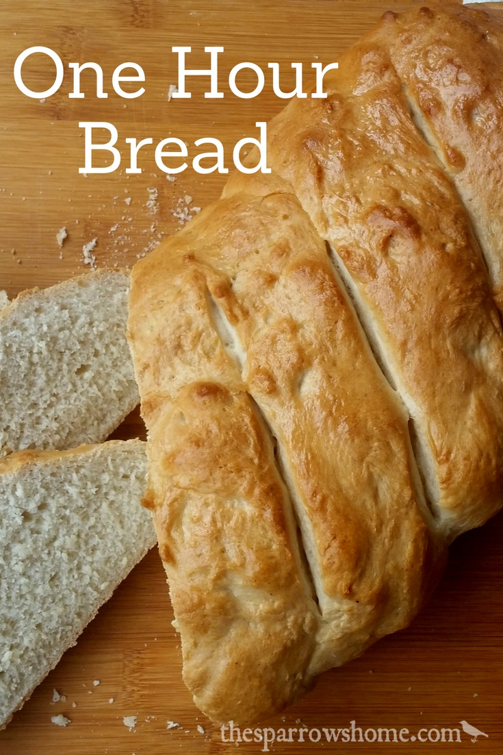 Easy Italian Bread Recipe
 e Hour Bread Fast & Easy Italian Bread Recipe