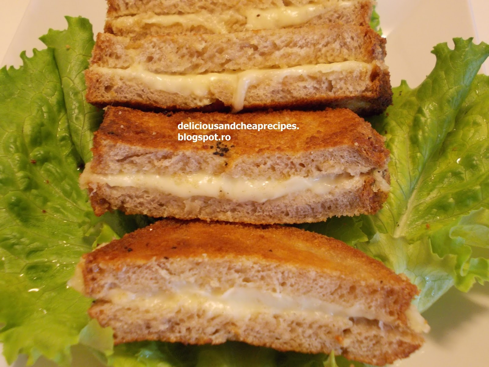 Egg Fried Bread
 Economic Recipes Egg fried bread with mozzarella and