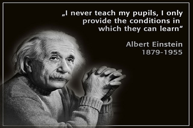 Einstein Quotes Education
 The Guide to Self Directed Learning