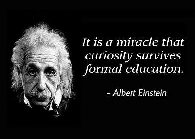 Einstein Quotes Education
 Albert Einstein Brilliant isn’t he – Anna Leckey & Jay