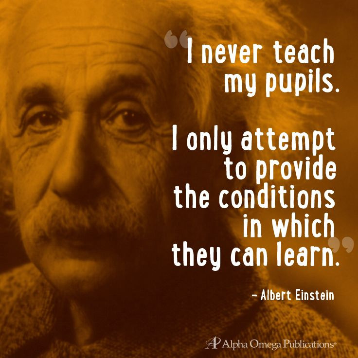 Einstein Quotes Education
 Einstein Quotes About Learning QuotesGram