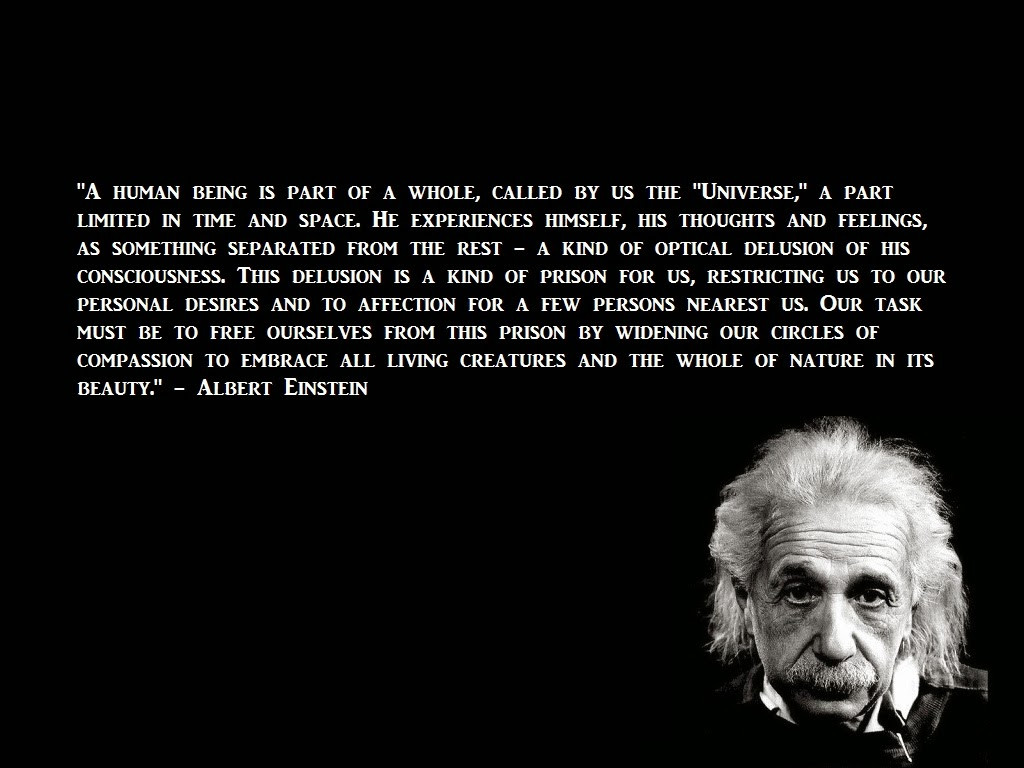 Einstein Quotes Education
 By Albert Einstein Education Quotes QuotesGram