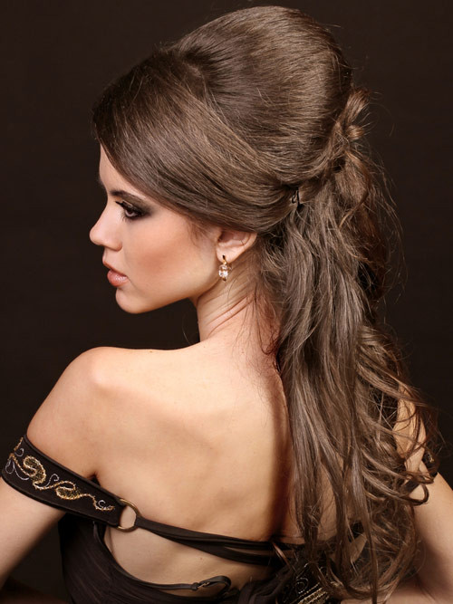 Elegant Hairstyles For Long Hair
 formal hairstyles for long hair to the side