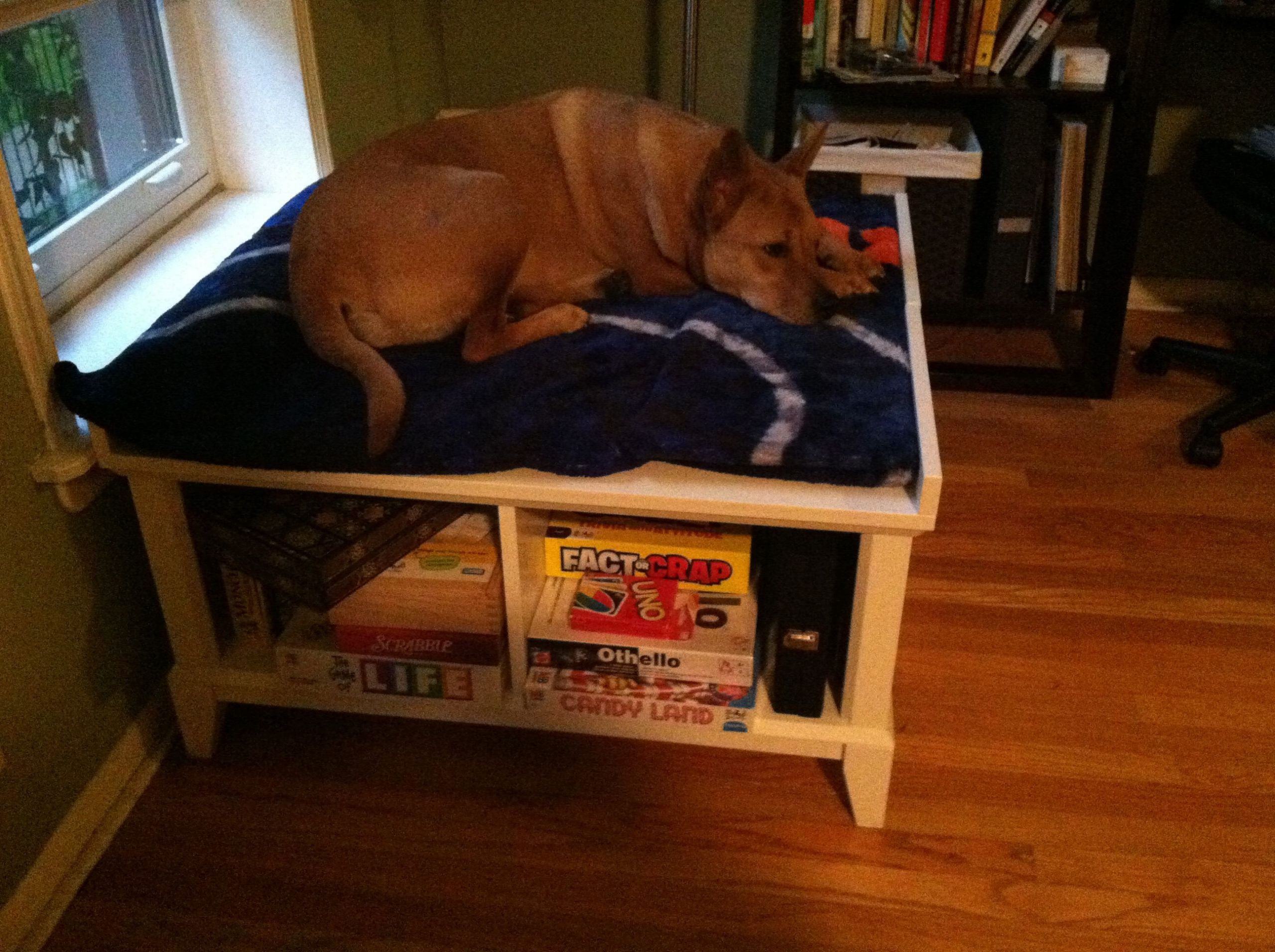 Elevated Dog Bed DIY
 Best 25 Raised dog beds ideas on Pinterest