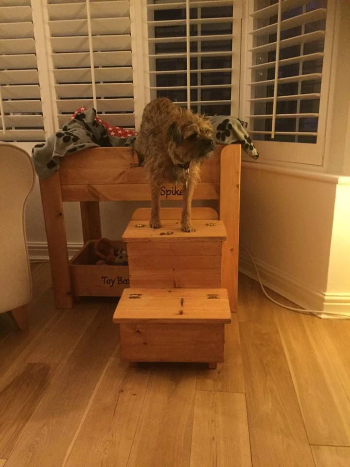 Elevated Dog Bed DIY
 Handcrafted wooden dog bed the Spike Curtain Twitcher