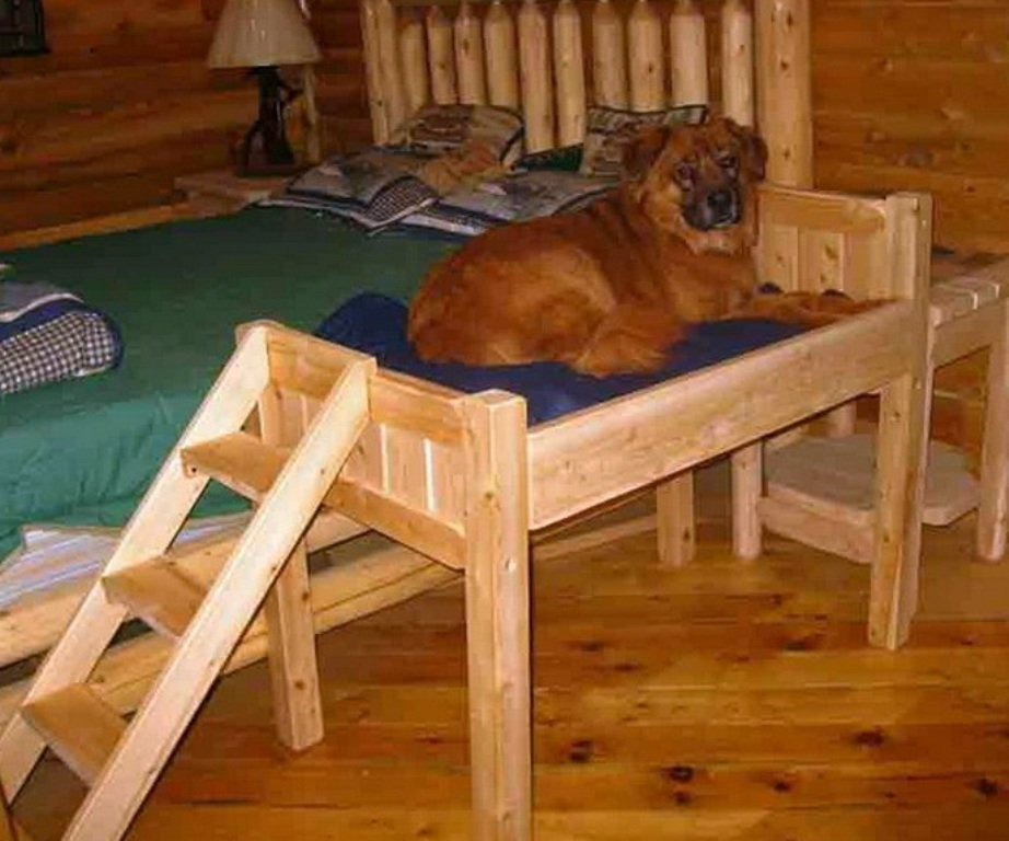 Elevated Dog Bed DIY
 Wooden Dog Beds Ideas – Loccie Better Homes Gardens Ideas
