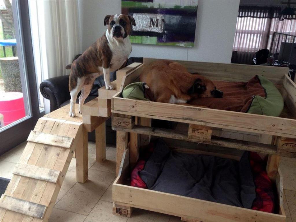 Elevated Dog Bed DIY
 Outrageous Elevated Dog Bed With Stairs Tips Home