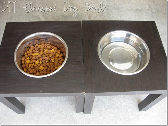 Elevated Dog Bowls DIY
 Life Love Larson DIY Elevated Dog Bowls