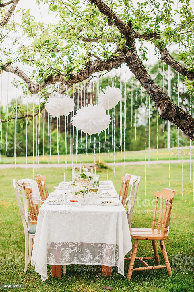 Engagement Garden Party Ideas
 Garden Party Arrangement With Decorations Hanging From