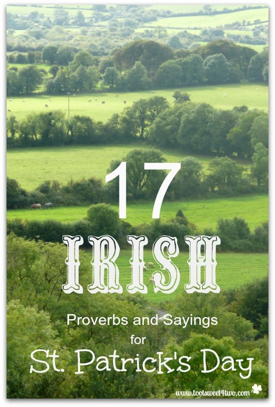 Everyone's Irish On St Patrick Day Quote
 17 Irish Proverbs and Sayings for St Patrick s Day Toot