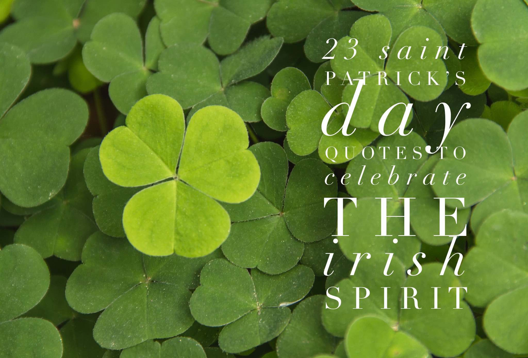 Everyone's Irish On St Patrick Day Quote
 St patrick s day quotes funny catchy st patrick s day
