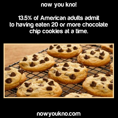 Facts About Chocolate Chip Cookies
 fact cookies list chocolate chip cookies cookie facts