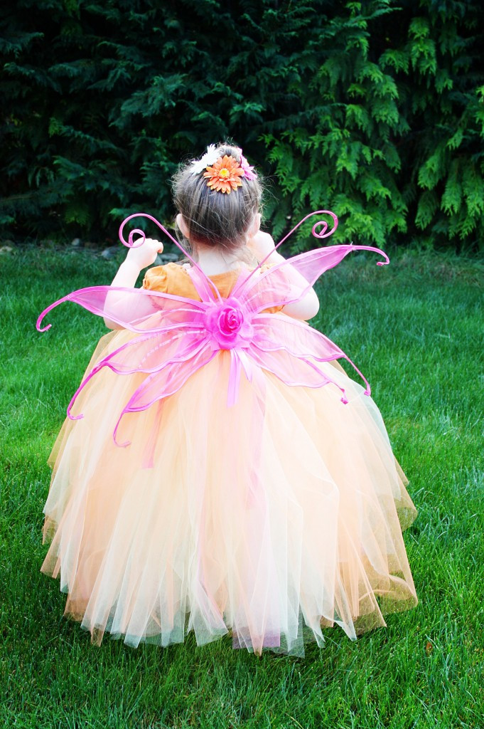 Fairy Costume DIY
 Easy Fairy Costume BigDIYIdeas