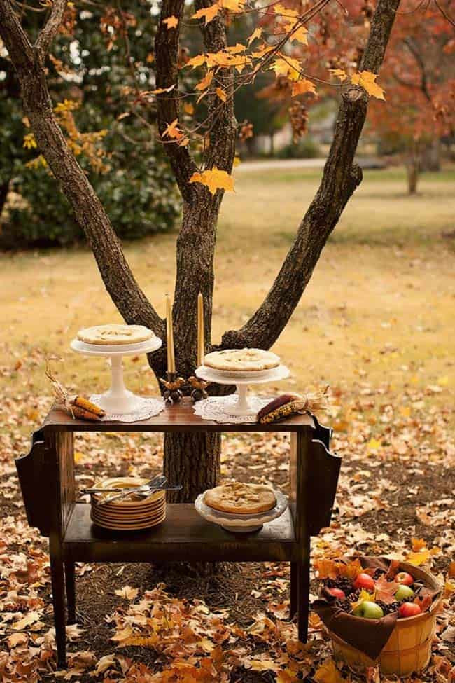 Fall Backyard Party Ideas
 30 Fabulous Outdoor Decorating Ideas to Host a Fall Party